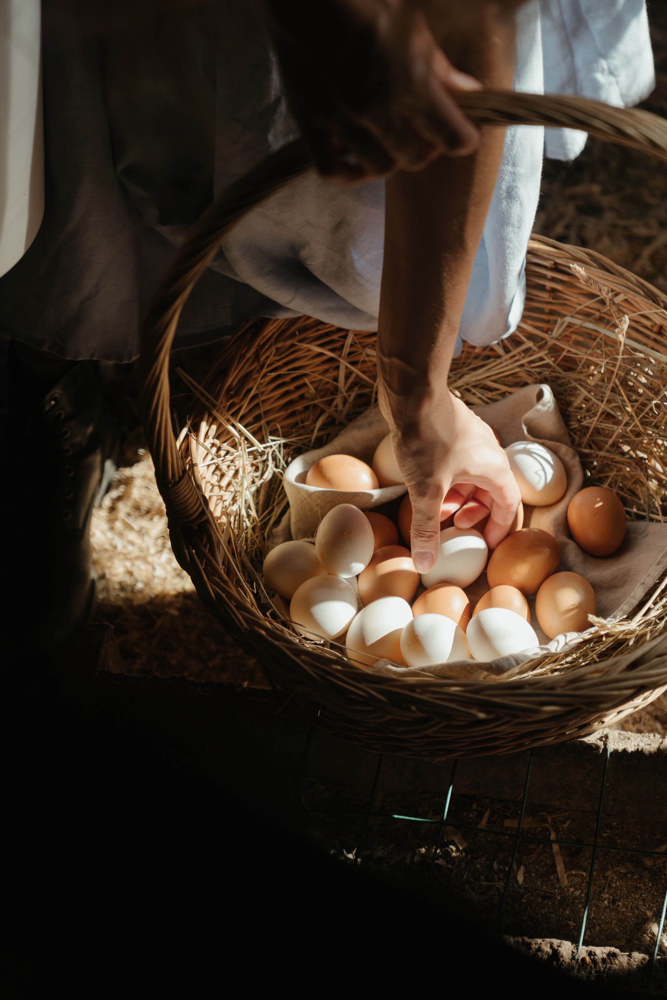 Basket of fresh eggs